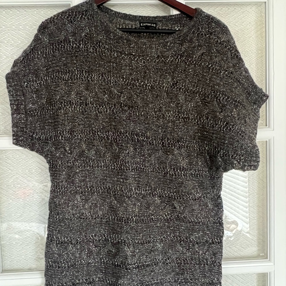 Express Shimmer Sweater
